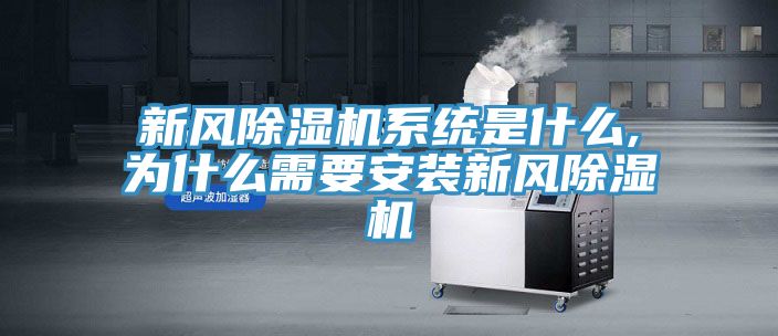 新風草莓视频污污污污係統是什麽,為什麽需要安裝新風草莓视频污污污污