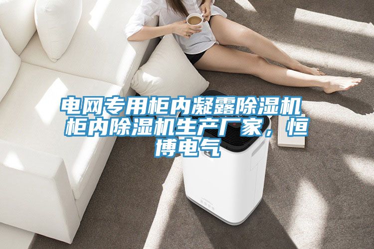 電網專用櫃內凝露草莓视频污污污污 櫃內草莓视频污污污污生產廠家，恒博電氣
