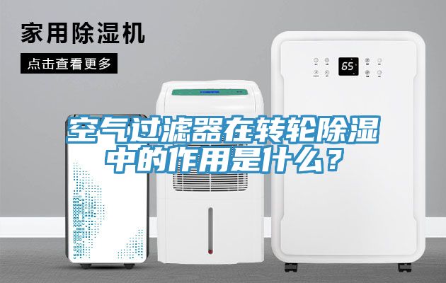 空氣過濾器在轉輪除濕中的作用是什麽？