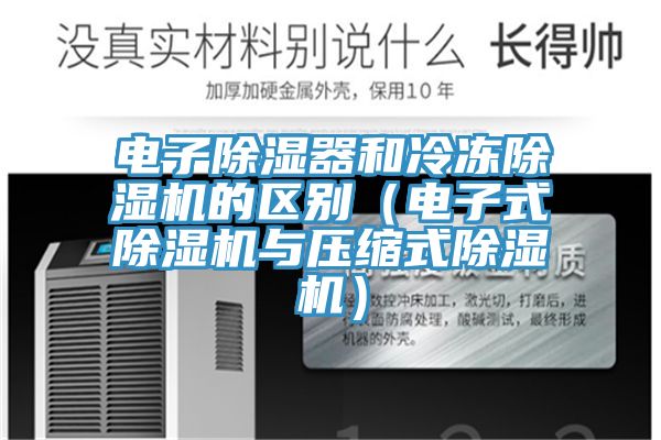 電子除濕器和冷凍草莓视频污污污污的區別（電子式草莓视频污污污污與壓縮式草莓视频污污污污）