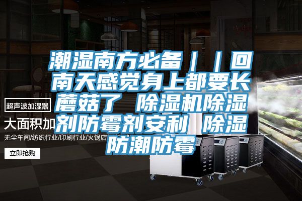 潮濕南方必備｜｜回南天感覺身上都要長蘑菇了 草莓视频污污污污除濕劑防黴劑安利 除濕防潮防黴
