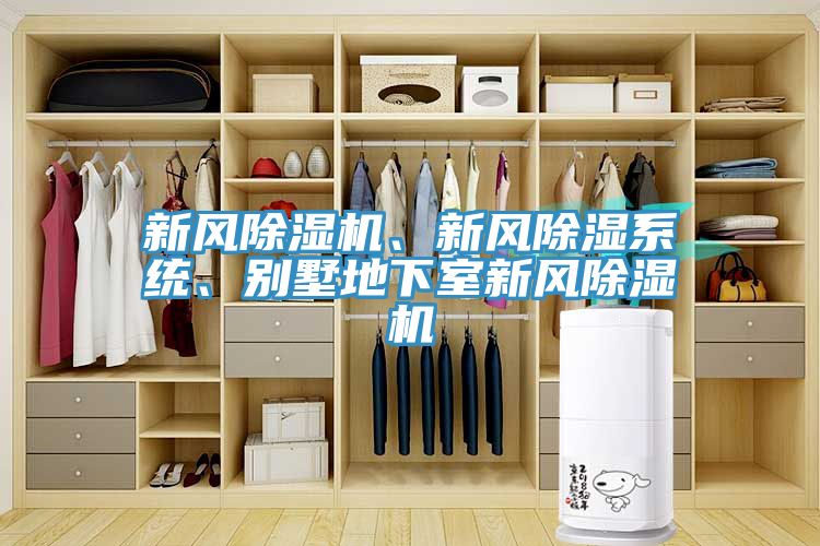 新風草莓视频污污污污、新風除濕係統、別墅地下室新風草莓视频污污污污