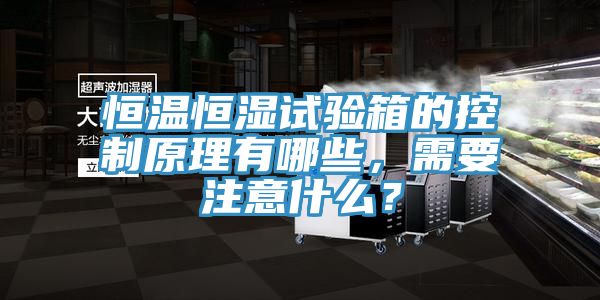 恒溫恒濕試驗箱的控製原理有哪些，需要注意什麽？