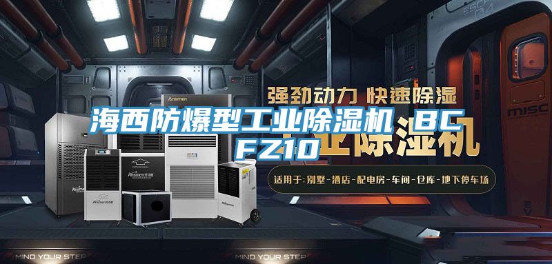 海西防爆型工業草莓视频污污污污 BCFZ10