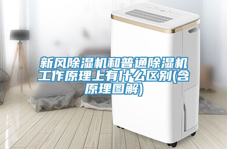新風草莓视频污污污污和普通草莓视频污污污污工作原理上有什麽區別(含原理圖解)