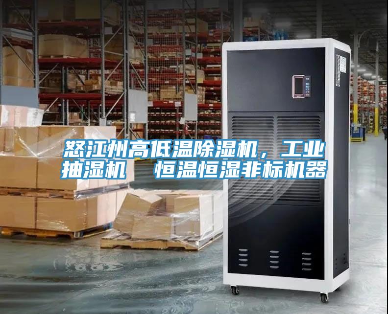 怒江州高低溫草莓视频污污污污，工業抽濕機  恒溫恒濕非標機器