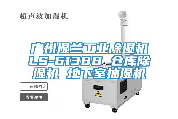 廣州濕蘭工業草莓视频污污污污LS-6138B 倉庫草莓视频污污污污 地下室抽濕機