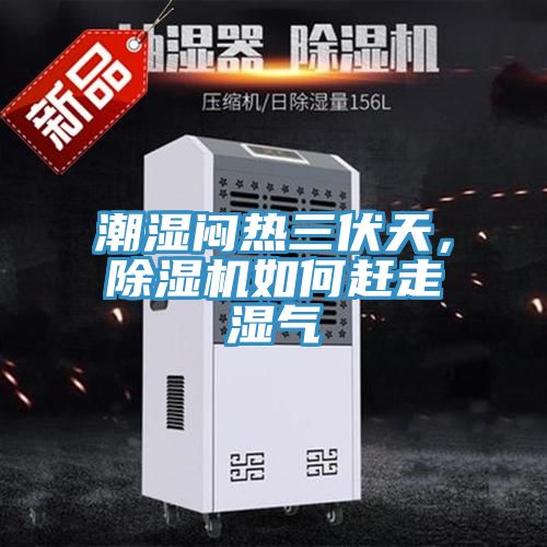 潮濕悶熱三伏天，草莓视频污污污污如何趕走濕氣