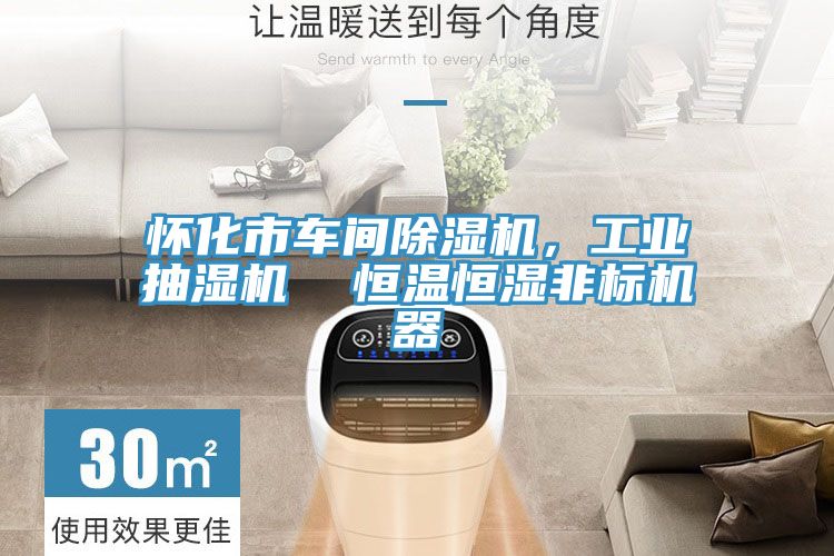 懷化市車間草莓视频污污污污，工業抽濕機  恒溫恒濕非標機器