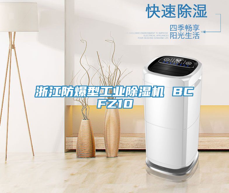 浙江防爆型工業草莓视频污污污污 BCFZ10