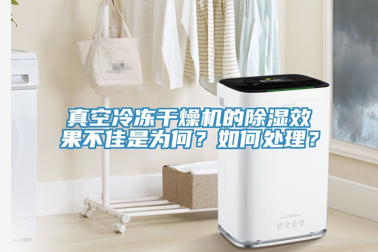 真空冷凍幹燥機的除濕效果不佳是為何？如何處理？