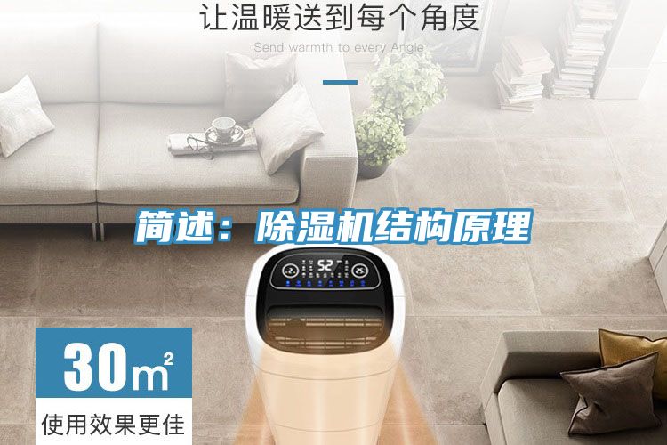 簡述：草莓视频污污污污結構原理