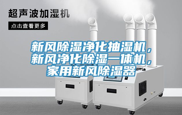 新風除濕淨化抽濕機，新風淨化除濕一體機，家用新風除濕器