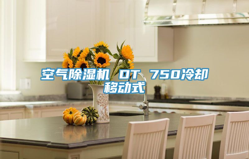 空氣草莓视频污污污污 DT 750冷卻移動式