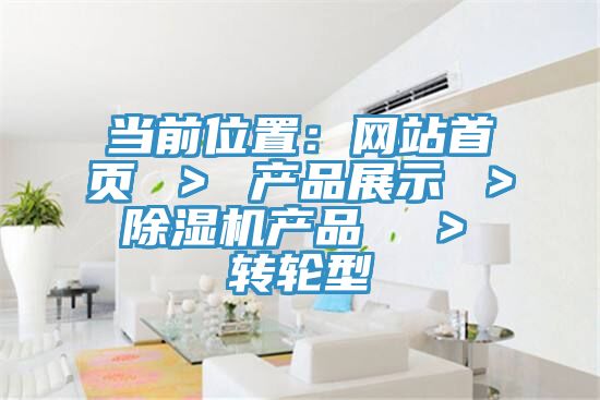 當前位置：網站首頁 ＞ 產品展示 ＞ 草莓视频污污污污產品  ＞ 轉輪型