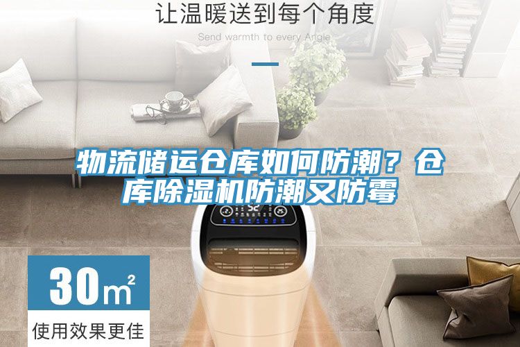 物流儲運倉庫如何防潮？倉庫草莓视频污污污污防潮又防黴