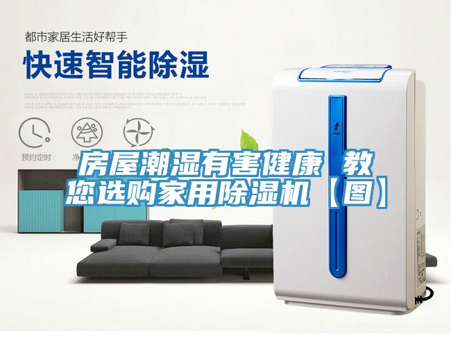 房屋潮濕有害健康 教您選購家用草莓视频污污污污【圖】