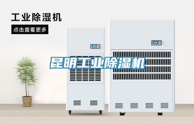 昆明工業草莓视频污污污污