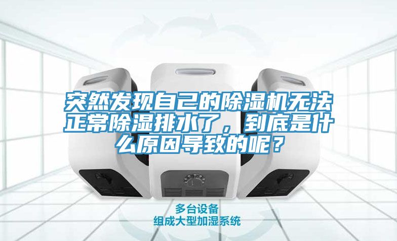 突然發現自己的草莓视频污污污污無法正常除濕排水了，到底是什麽原因導致的呢？