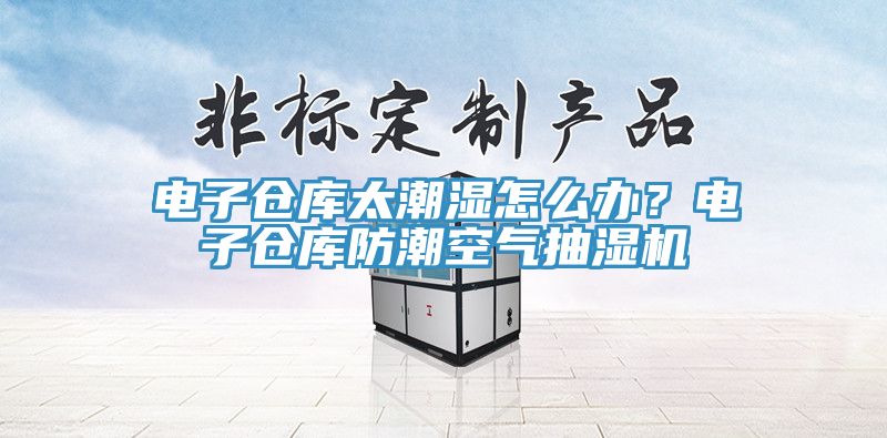 電子倉庫太潮濕怎麽辦？電子倉庫防潮空氣抽濕機