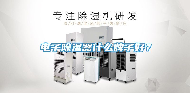 電子除濕器什麽牌子好？