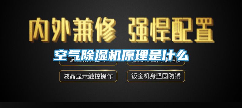 空氣草莓视频污污污污原理是什麽