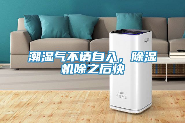 潮濕氣不請自入，草莓视频污污污污除之後快