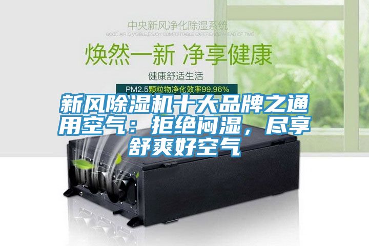 新風草莓视频污污污污十大品牌之通用空氣：拒絕悶濕，盡享舒爽好空氣
