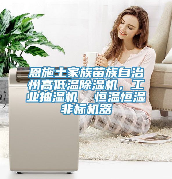 恩施土家族苗族自治州高低溫草莓视频污污污污，工業抽濕機  恒溫恒濕非標機器