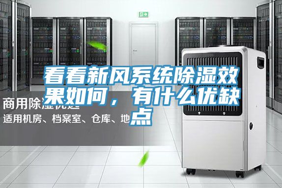 看看新風係統除濕效果如何，有什麽優缺點
