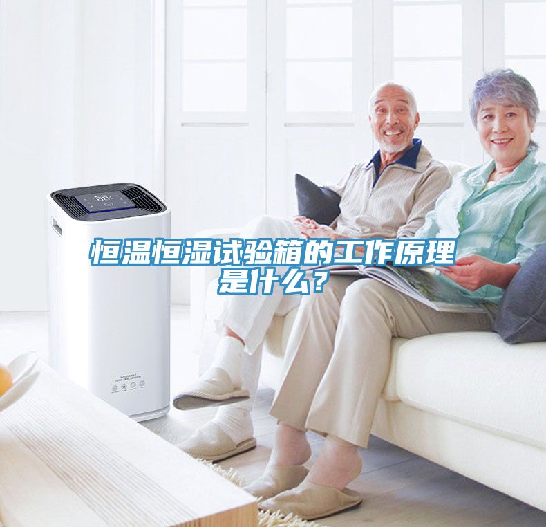 恒溫恒濕試驗箱的工作原理是什麽？