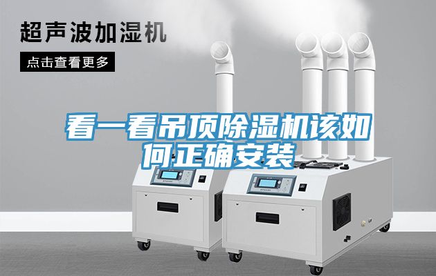 看一看吊頂草莓视频污污污污該如何正確安裝