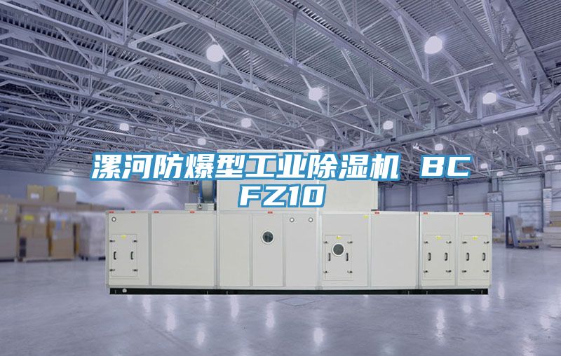 漯河防爆型工業草莓视频污污污污 BCFZ10