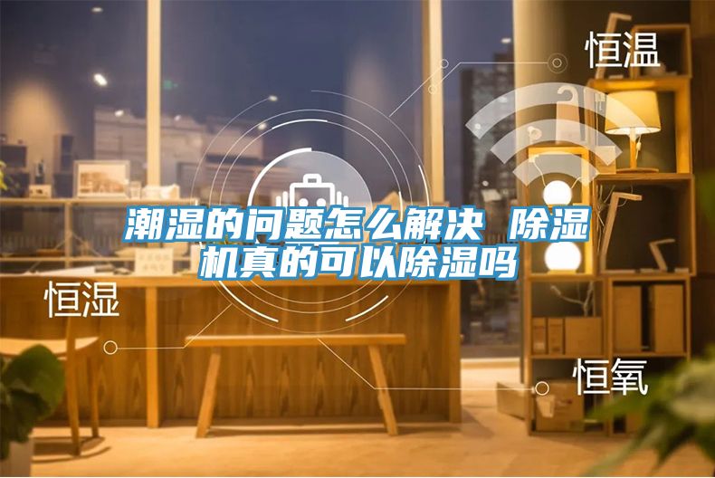 潮濕的問題怎麽解決 草莓视频污污污污真的可以除濕嗎