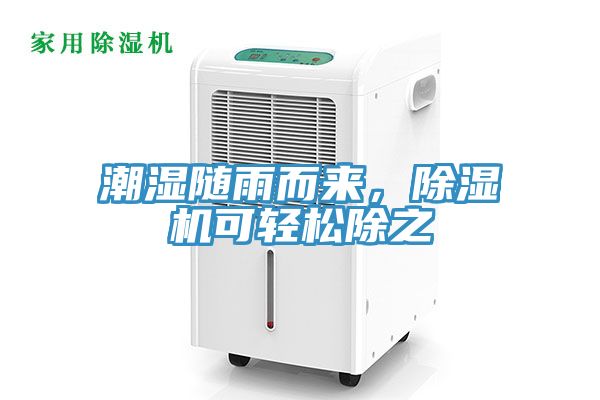 潮濕隨雨而來，草莓视频污污污污可輕鬆除之