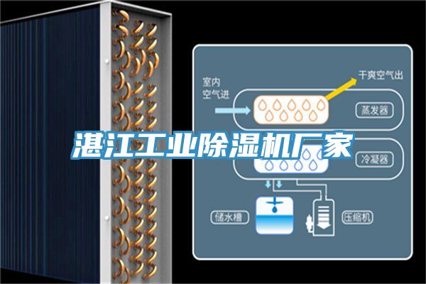 湛江工業草莓视频污污污污廠家