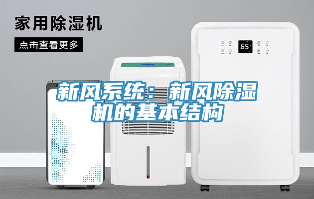 新風係統：新風草莓视频污污污污的基本結構