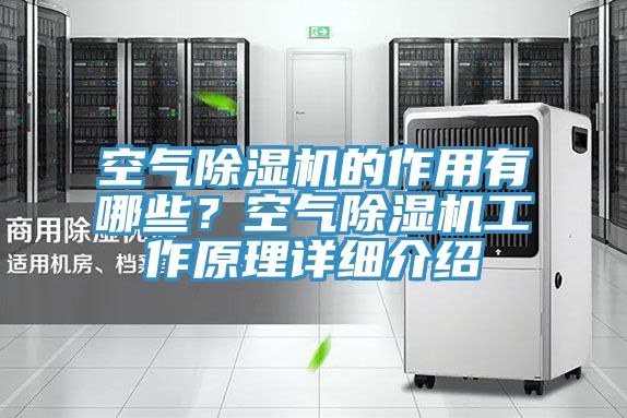 空氣草莓视频污污污污的作用有哪些？空氣草莓视频污污污污工作原理詳細介紹
