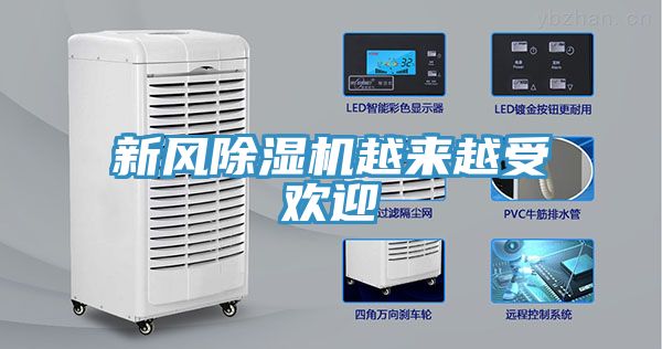 新風草莓视频污污污污越來越受歡迎