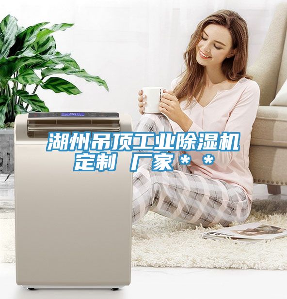 湖州吊頂工業草莓视频污污污污定製 廠家＊＊