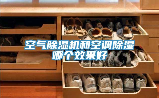 空氣草莓视频污污污污和空調除濕哪個效果好