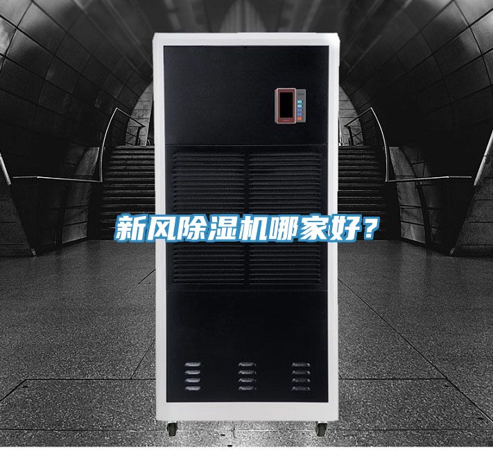 新風草莓视频污污污污哪家好？
