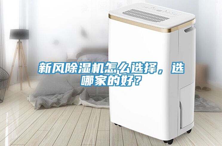 新風草莓视频污污污污怎麽選擇，選哪家的好？