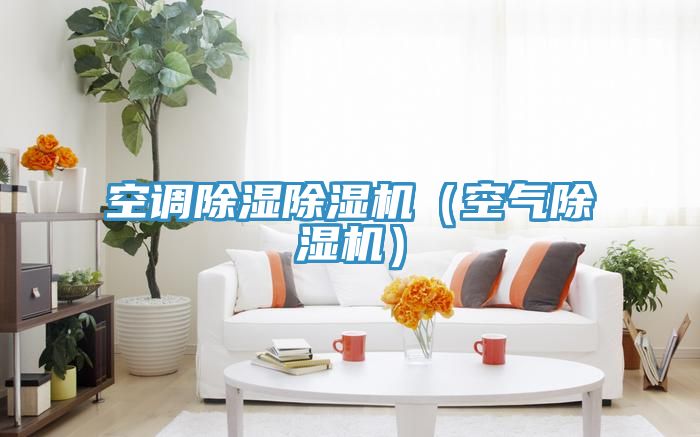 空調除濕草莓视频污污污污（空氣草莓视频污污污污）