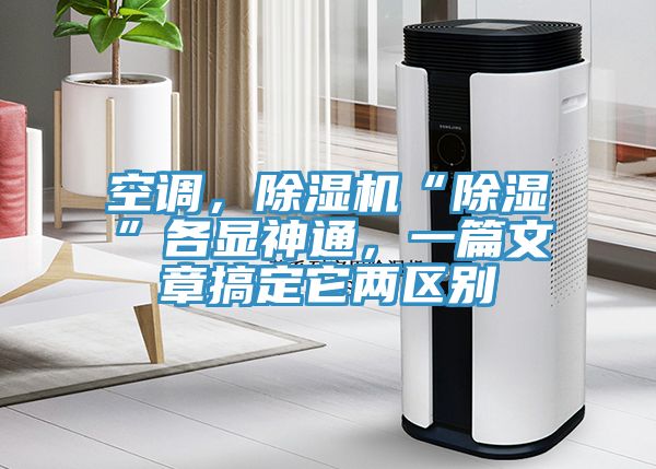 空調，草莓视频污污污污“除濕”各顯神通，一篇文章搞定它兩區別