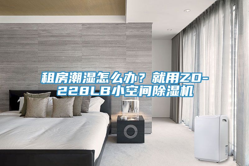 租房潮濕怎麽辦？就用ZD-228LB小空間草莓视频污污污污