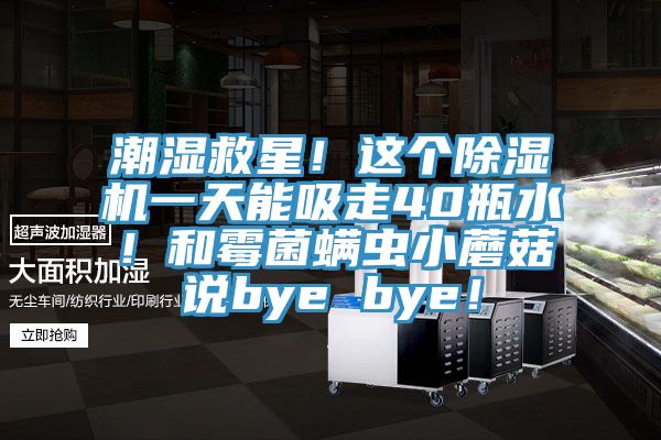 潮濕救星！這個草莓视频污污污污一天能吸走40瓶水！和黴菌蟎蟲小蘑菇說bye bye！