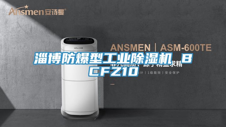 淄博防爆型工業草莓视频污污污污 BCFZ10
