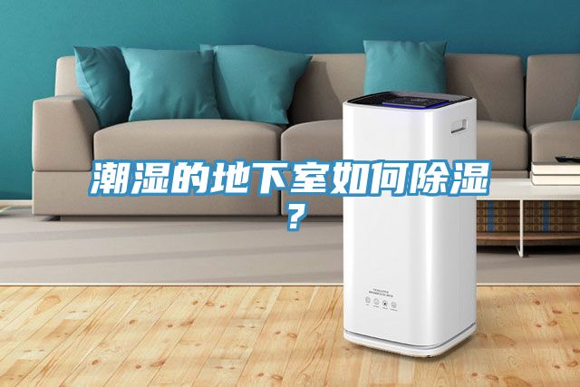 潮濕的地下室如何除濕？