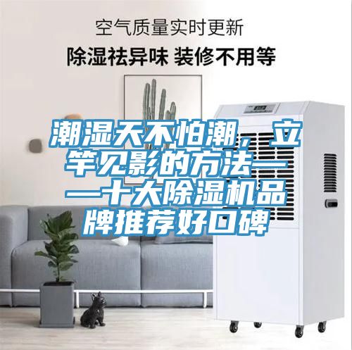 潮濕天不怕潮，立竿見影的方法——十大草莓视频污污污污品牌推薦好口碑